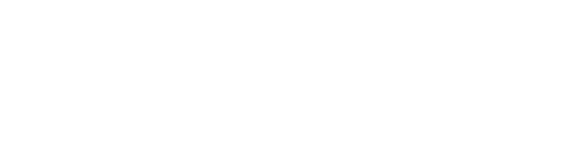 Synology NAS Logo